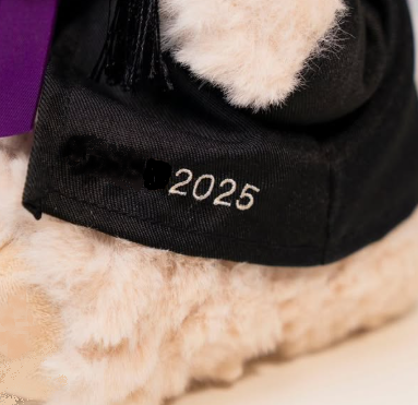Signature Personalised Graduation Teddy Bear